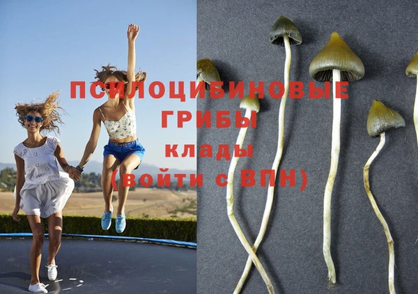 Альфа ПВП Володарск